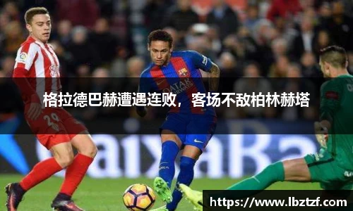 mk体育官网