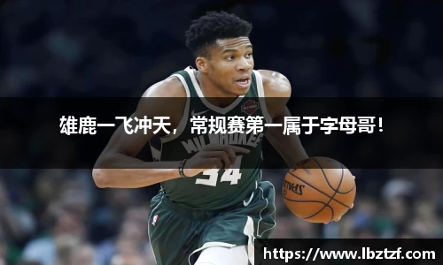 mk体育官网入口