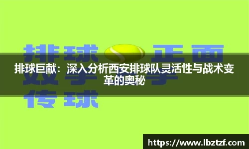 mk体育官网入口