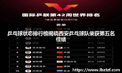 mk体育官网入口