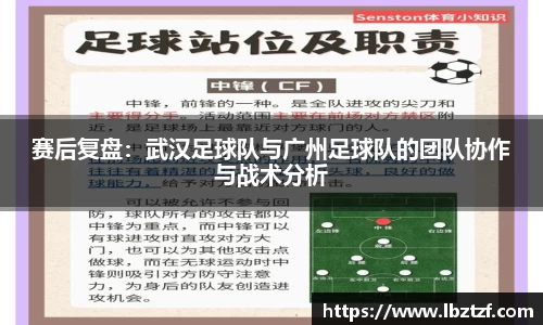mk体育官网入口