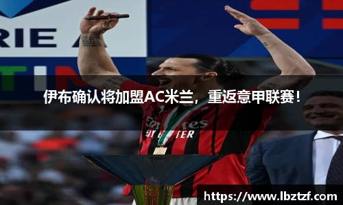 mk体育官网入口