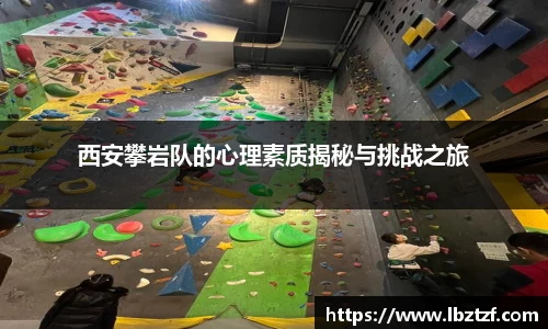 mk体育官网入口