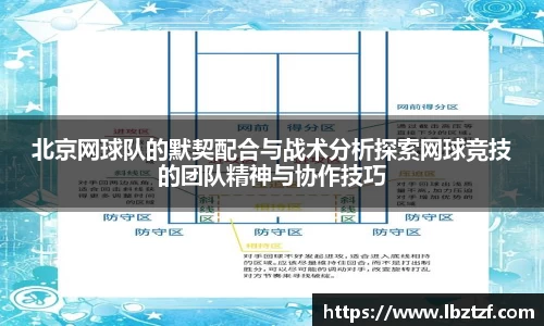 mk体育官网入口