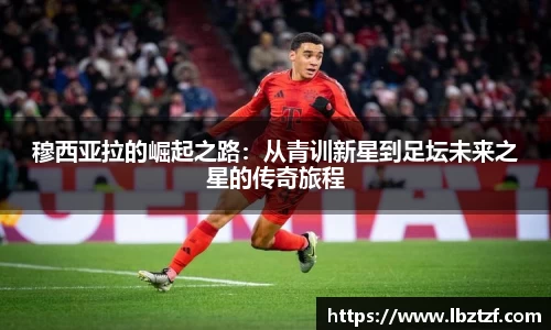 mk体育官网入口